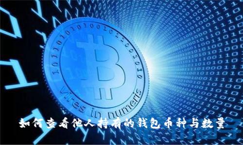 如何查看他人持有的钱包币种与数量